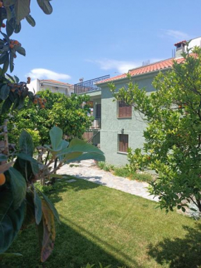 Betty's Garden House